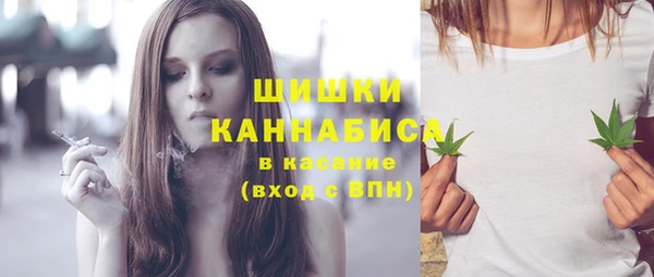 мдма Новодвинск
