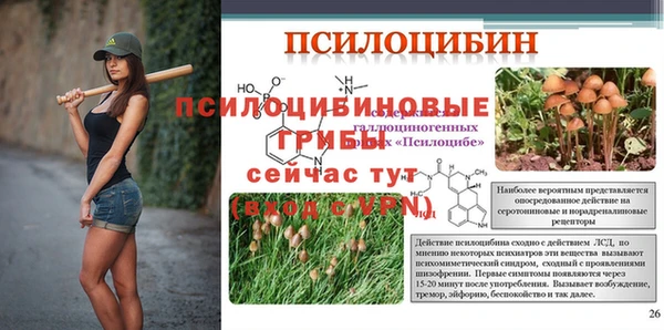 мдма Новодвинск