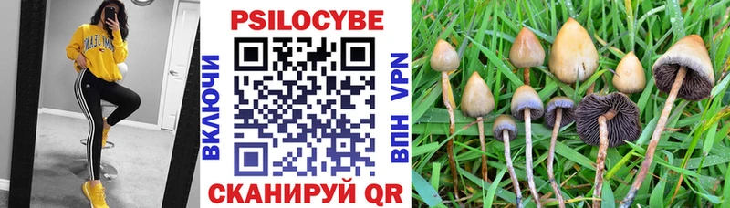 Купить закладки  Можга  Псилоцибиновые грибы GOLDEN TEACHER 